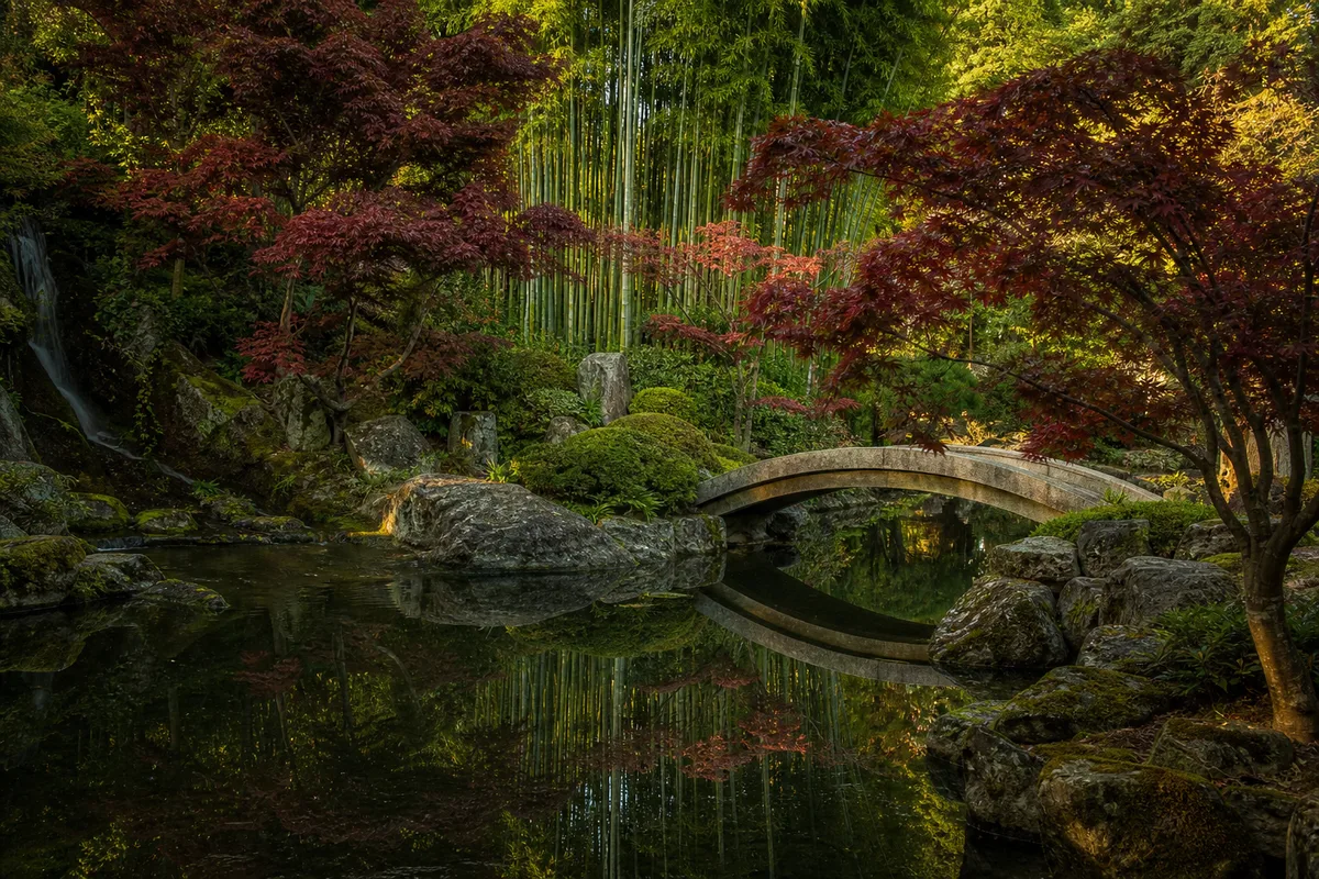 Jardin japonais avec bassin, rochers et pont de pierre au bord d’une rivière